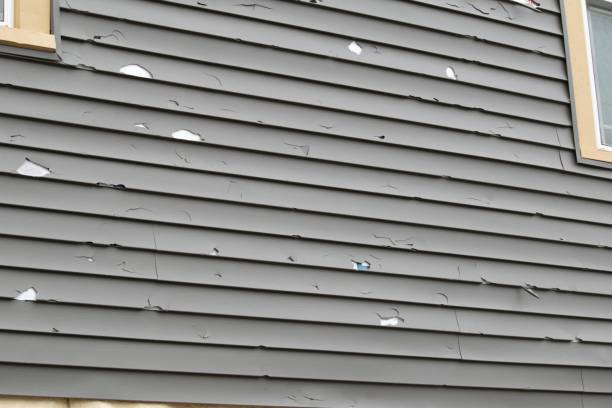 Best Hoarding Cleanup  in Marbury, AL